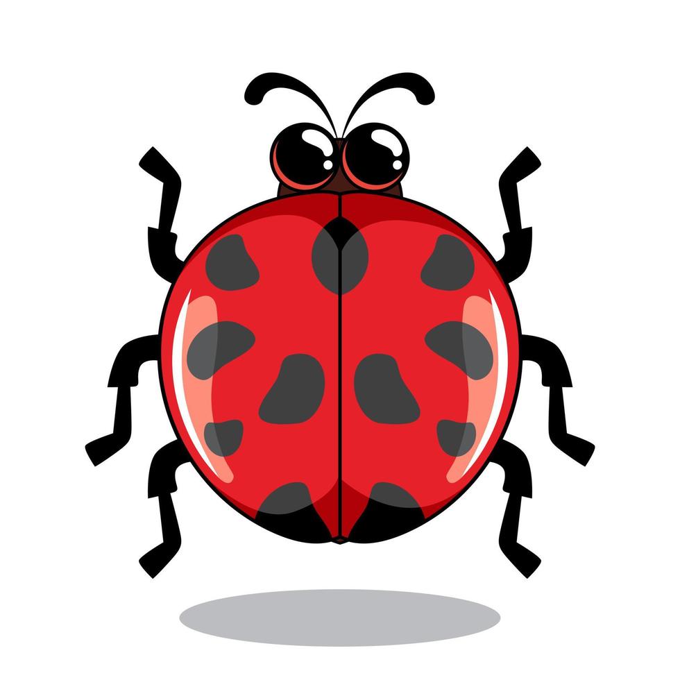 Ladybug Cartoon Illustrations Ladybird vector