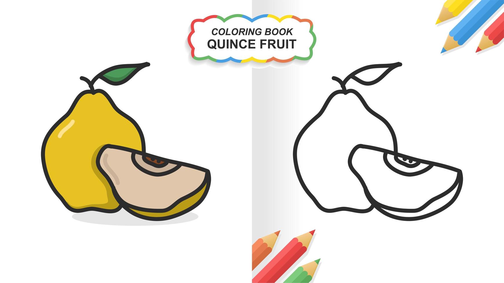 Quince fruit hand drawn coloring book for learning. Flat color ready to print vector
