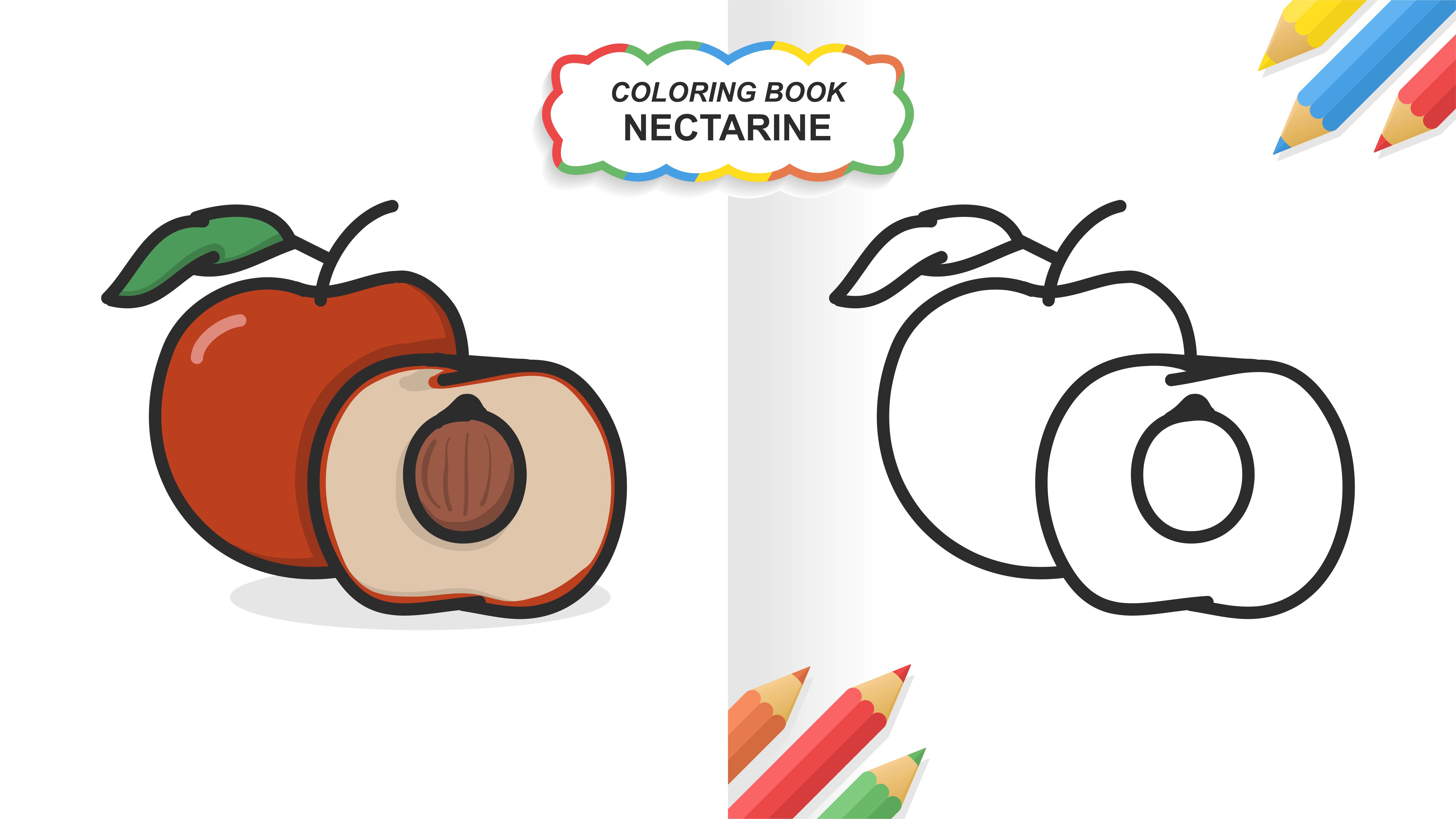 Libro de colorear dibujado a mano de fruta nectarina para aprender. color plano listo para