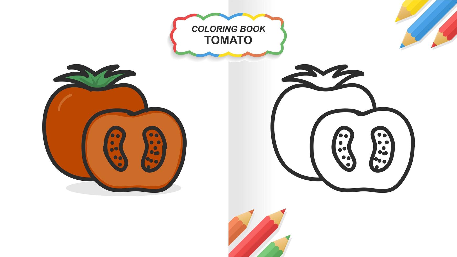 tomate libro para colorear dibujado a mano para aprender. color plano listo para imprimir vector