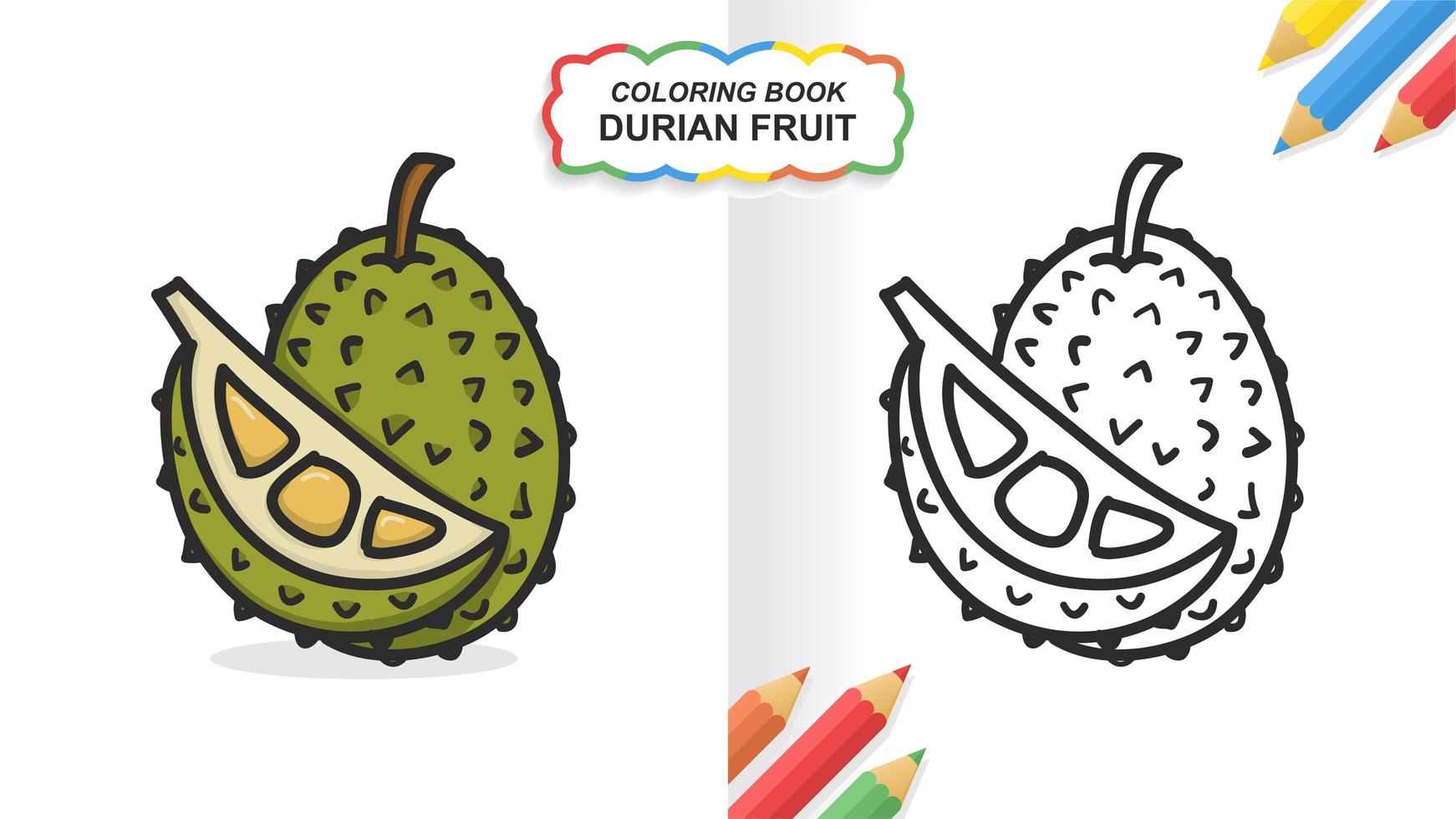 Durian fruit hand drawn coloring book for learning. Flat color ready to print vector