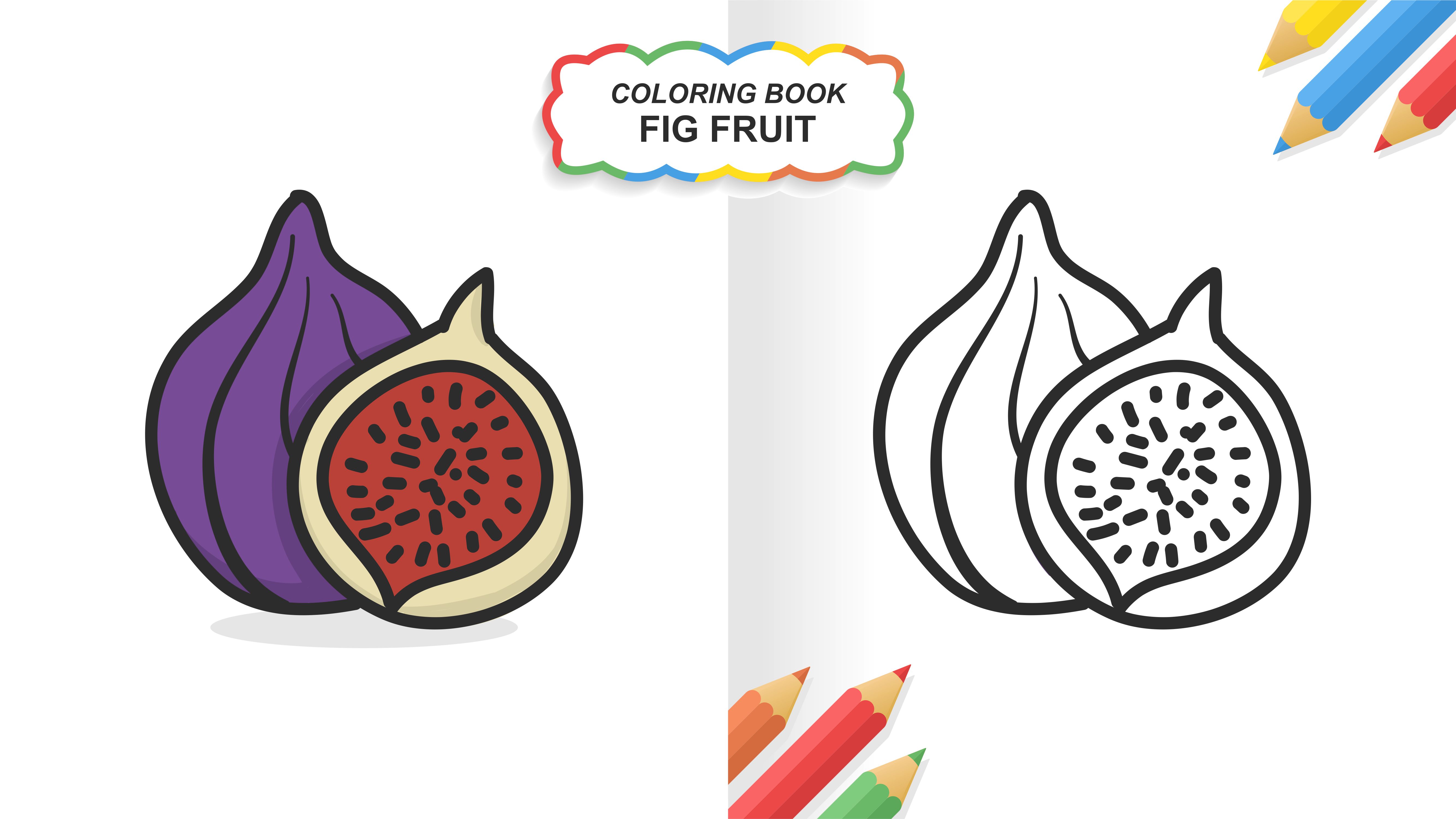 Ready to color. Fig coloring.