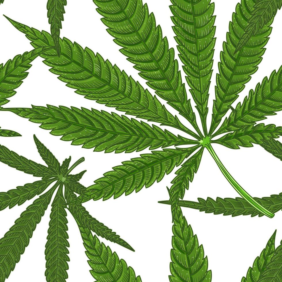 Medical cannabis marijuana nine-pointed leaf, hand drawn seamless pattern vector