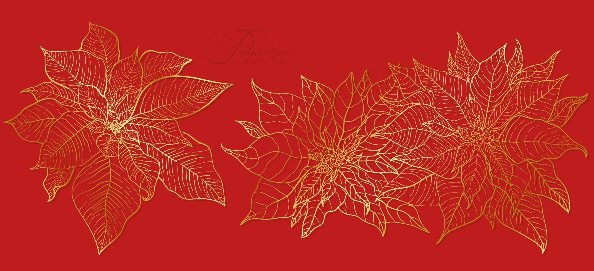 inflorescencia de poinsettia roja en una elegante línea dorada. elementos para decoraciones navideñas y festivas de año nuevo. vector