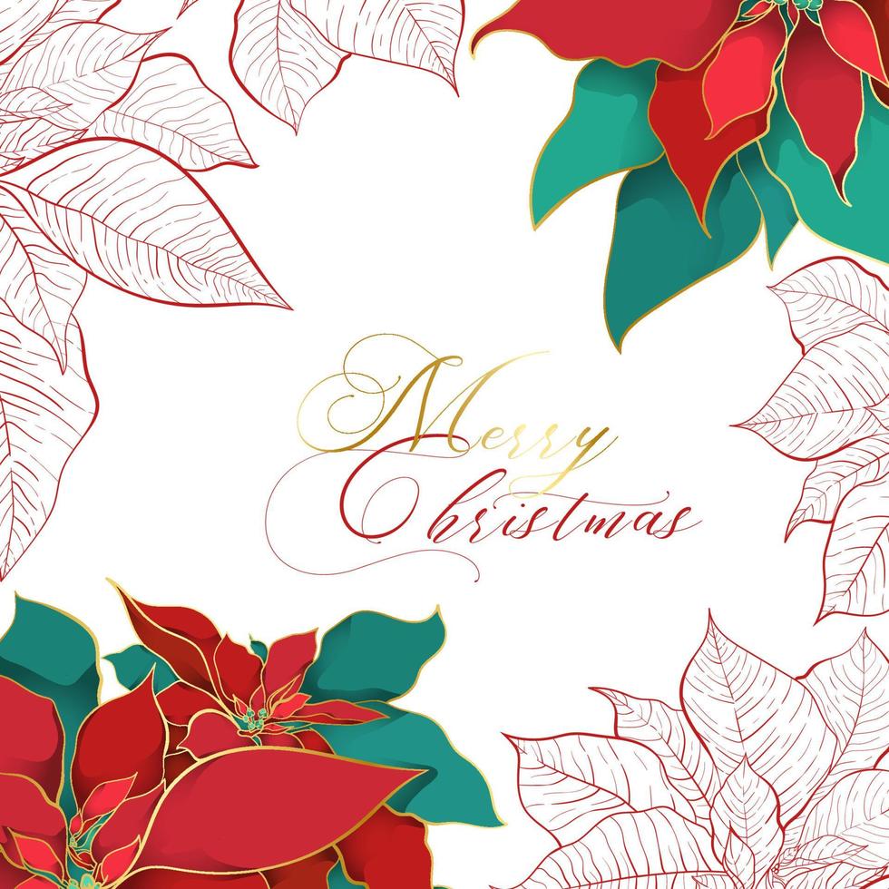 Silk Poinsettia Christmas square background for social networks. Red and green silk leaves with golden line on a white background. Christmas and New Year elegance decor vector