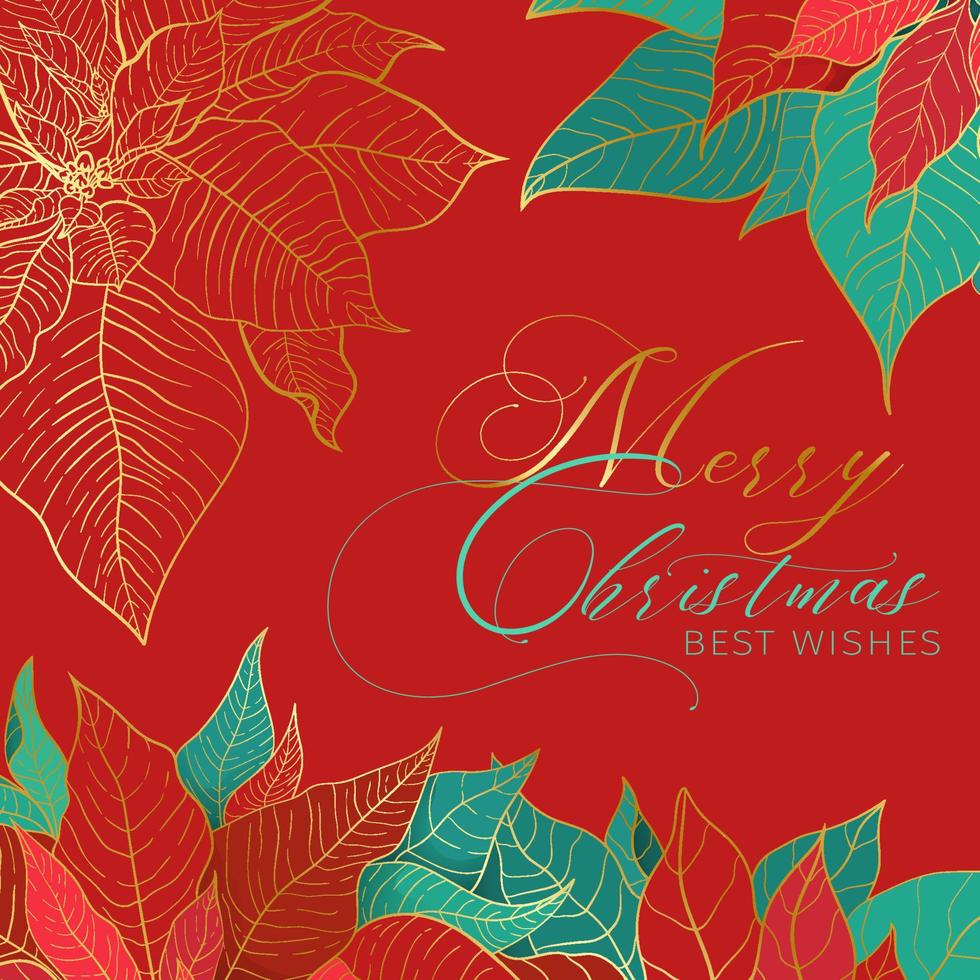 Feliz Navidad, mis mejores deseos, bandera roja cuadrada. hojas de poinsettia rojas y verdes con línea dorada sobre un fondo rojo. decoración elegante de navidad y año nuevo vector