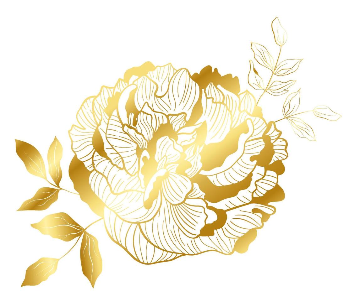 Luxury peony flower with colden line in an Asian trend. Botanical elegance decor for weddings and romantic celebrations, for the design of cosmetics or perfume vector