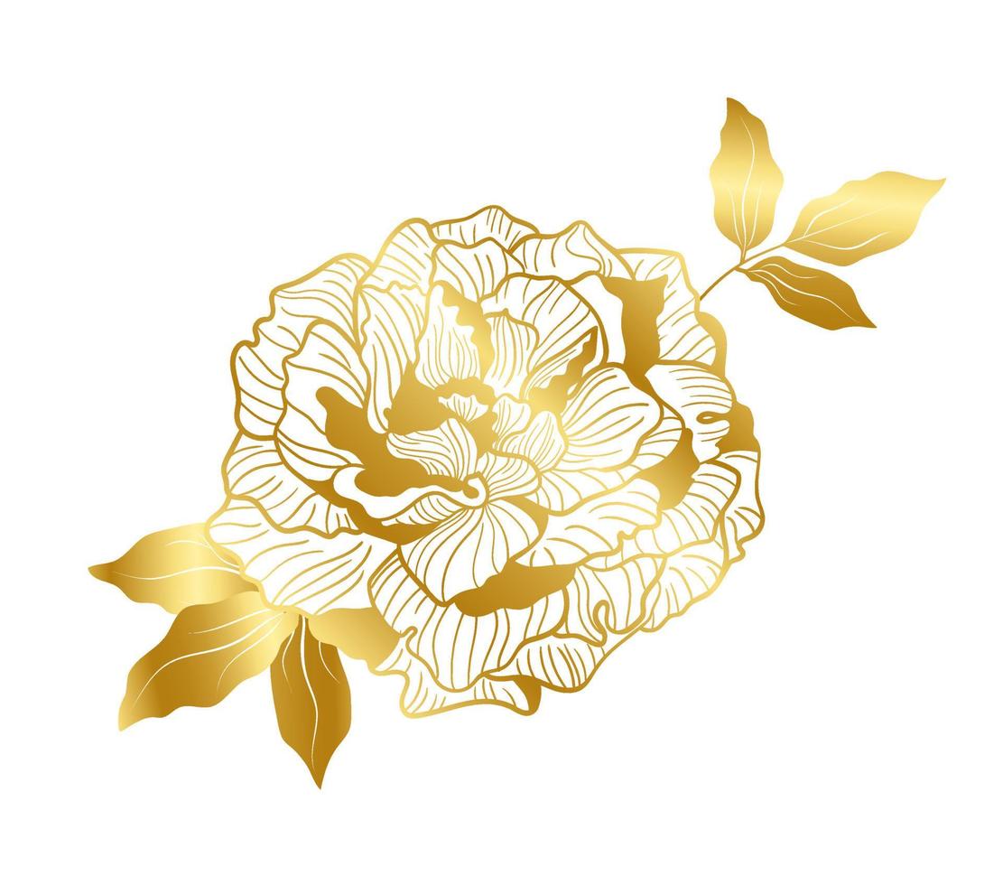 Elegance peony flower with colden line in an Asian trend. Botanical decor for weddings and romantic celebrations, for the design of cosmetics or perfume vector