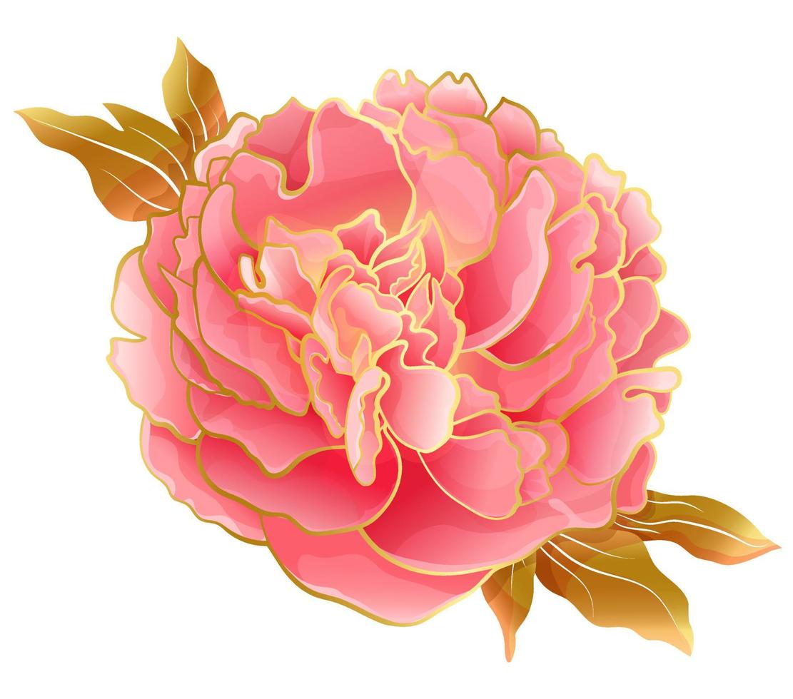 Pastel pink peony flower with colden line and leves in an Asian soft color palette. Botanical decor for weddings and romantic celebrations vector