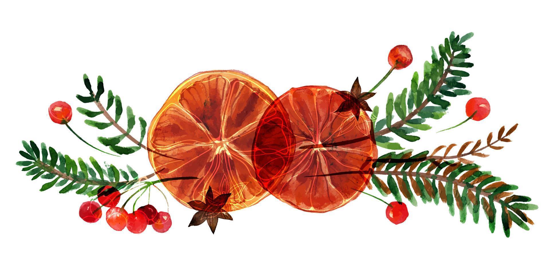 Composición de acuarela navideña con naranjas y ramas de canela y frutos rojos sobre fondo blanco. decoración para lindos textiles navideños y de año nuevo y papel de regalo y tarjetas de felicitación vector
