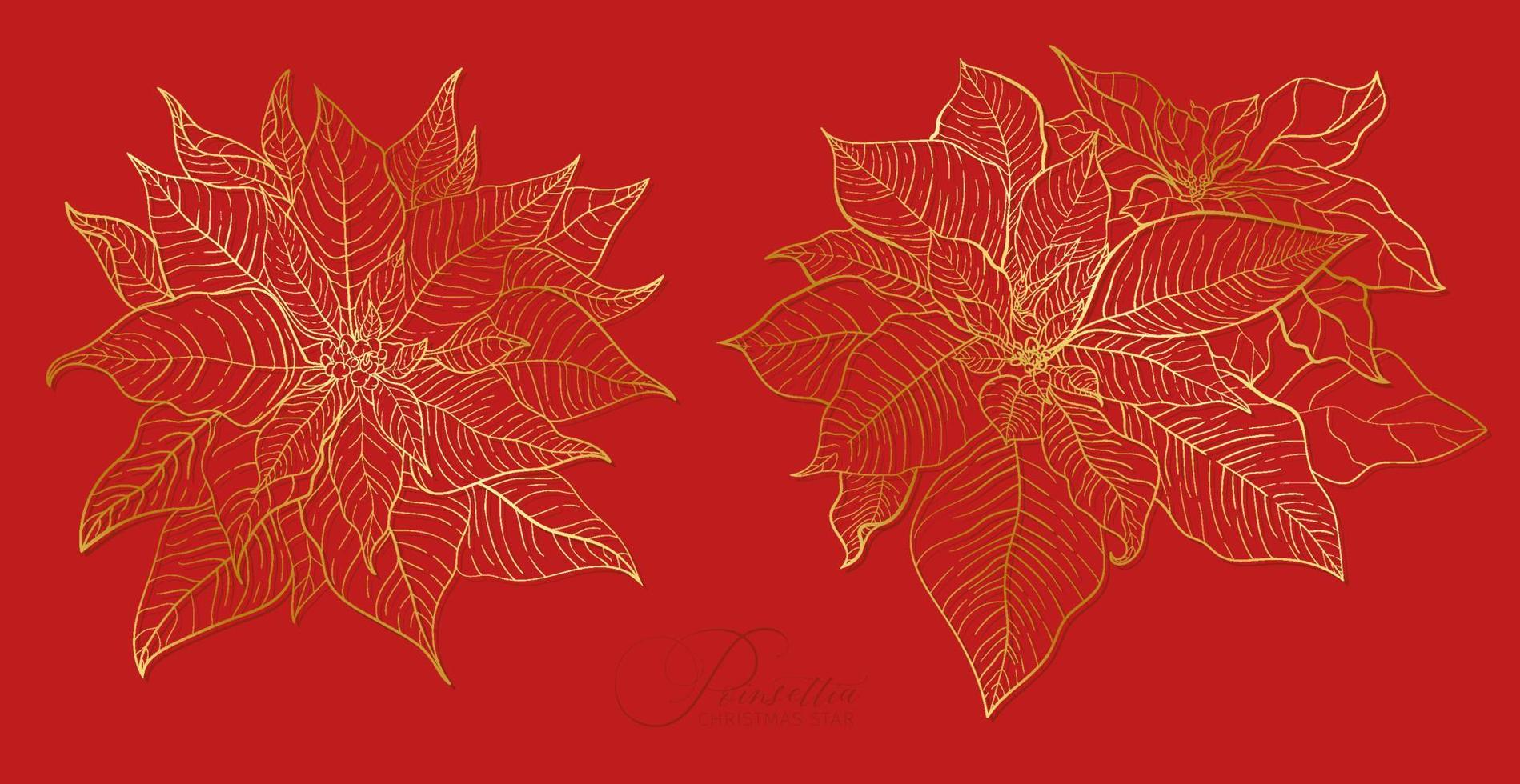 inflorescencia de poinsettia roja en una elegante línea dorada. elementos para decoraciones navideñas y festivas de año nuevo. vector