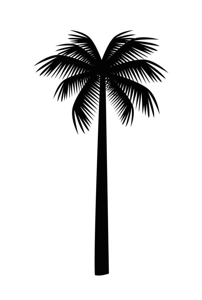 tree palm silhouette vector