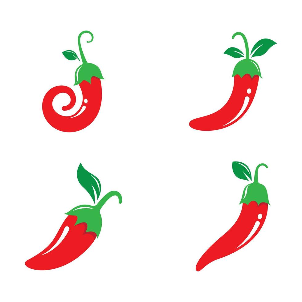 Chili images illustration vector