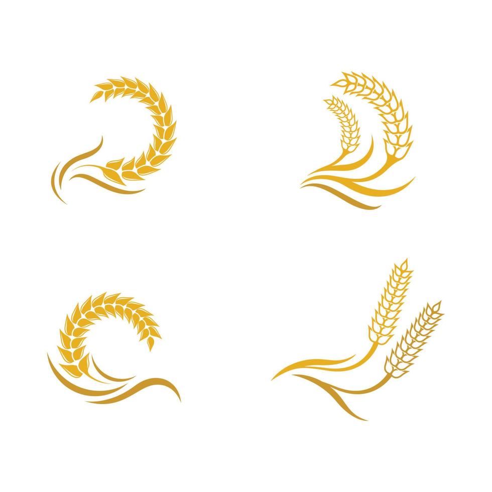 Wheat logo images vector