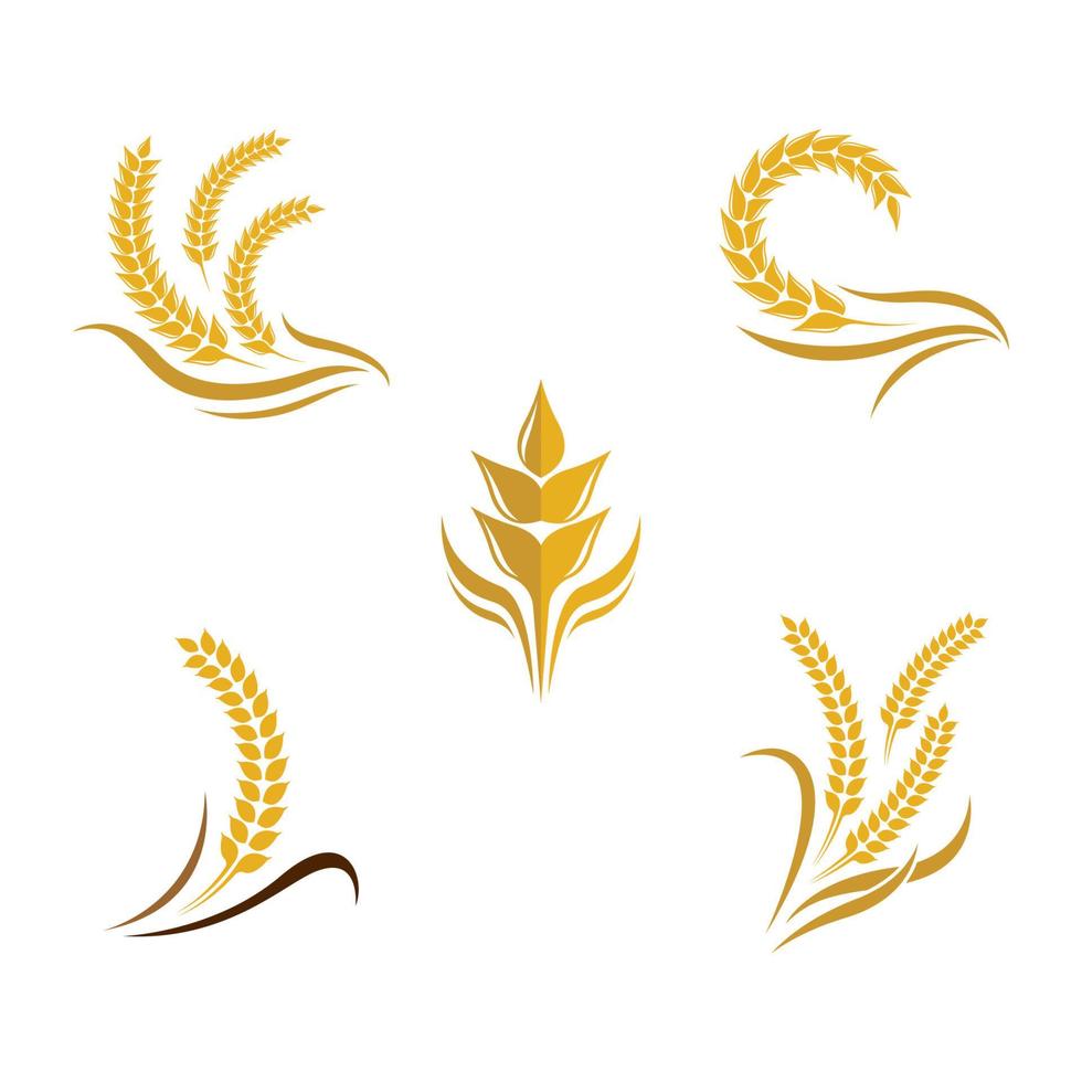 Wheat logo images vector