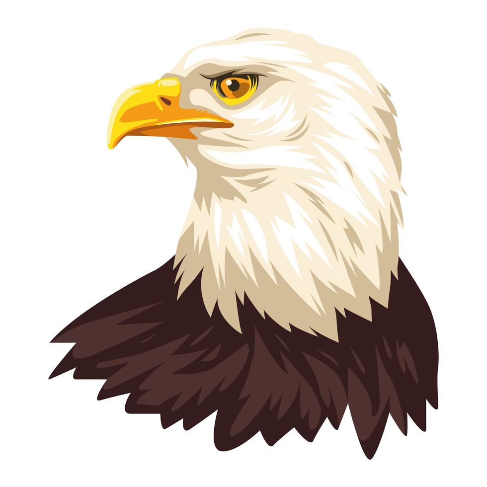 bald eagle bird vector