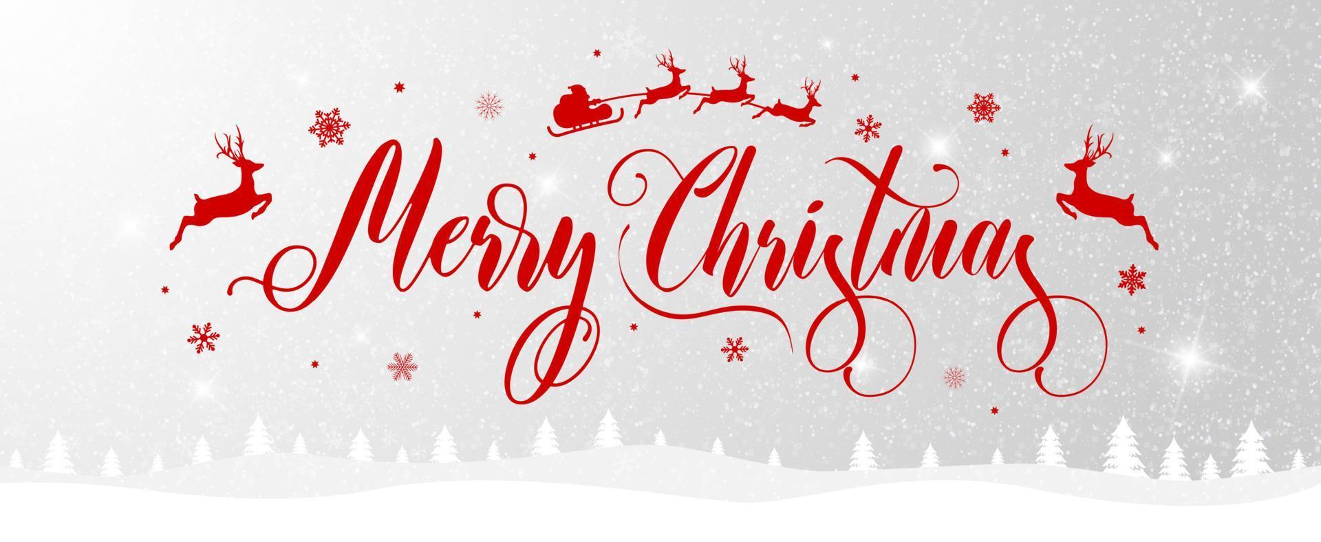 Merry Christmas and happy New Year landscape on the winter snowfall background. Christmas banner with lettering and snow. vector