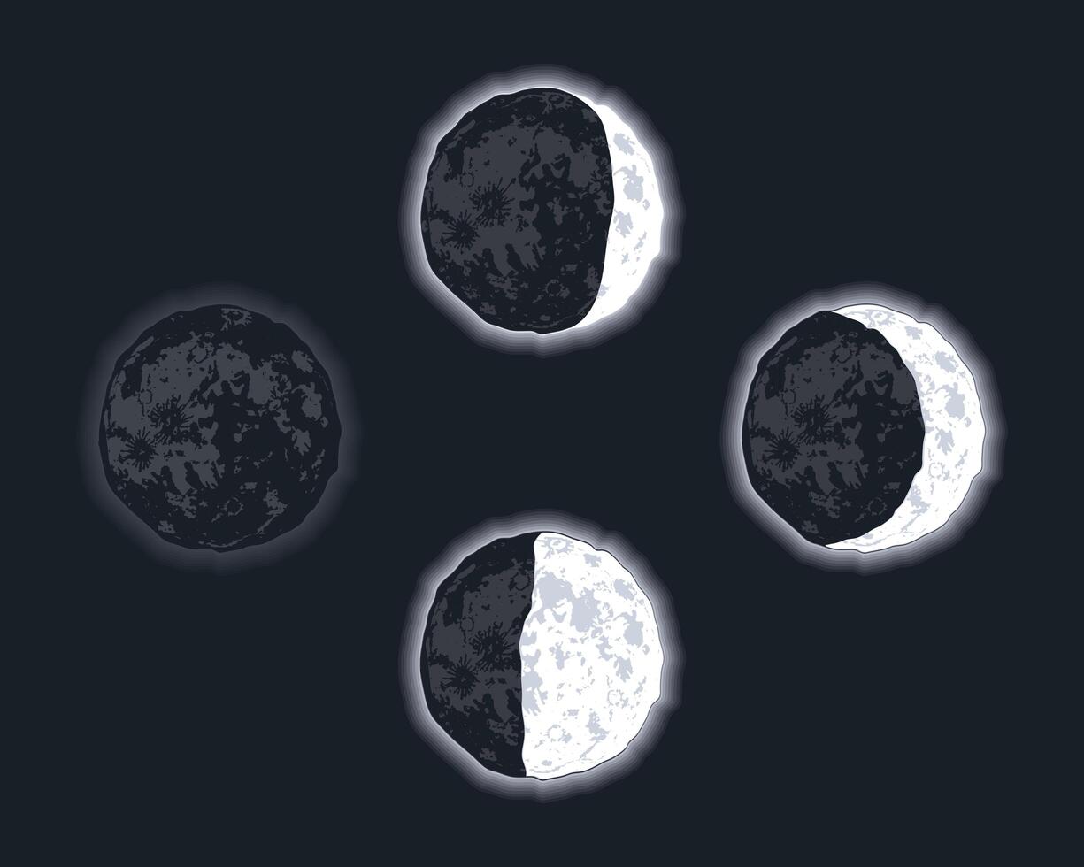 conjunto de cuatro fases lunares vector