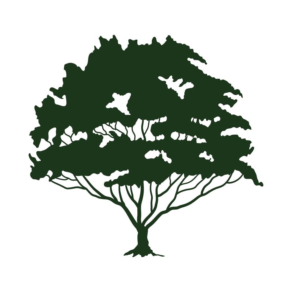 green tree leafy silhouette forest icon vector