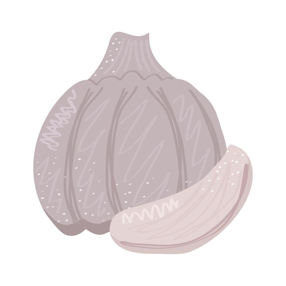 garlic vegetables healthy food icon vector