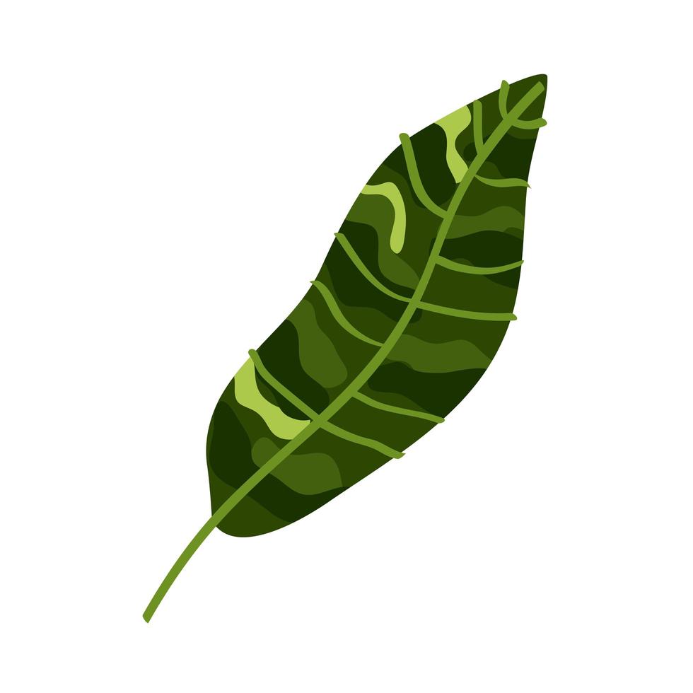 exotic leaf plant vector