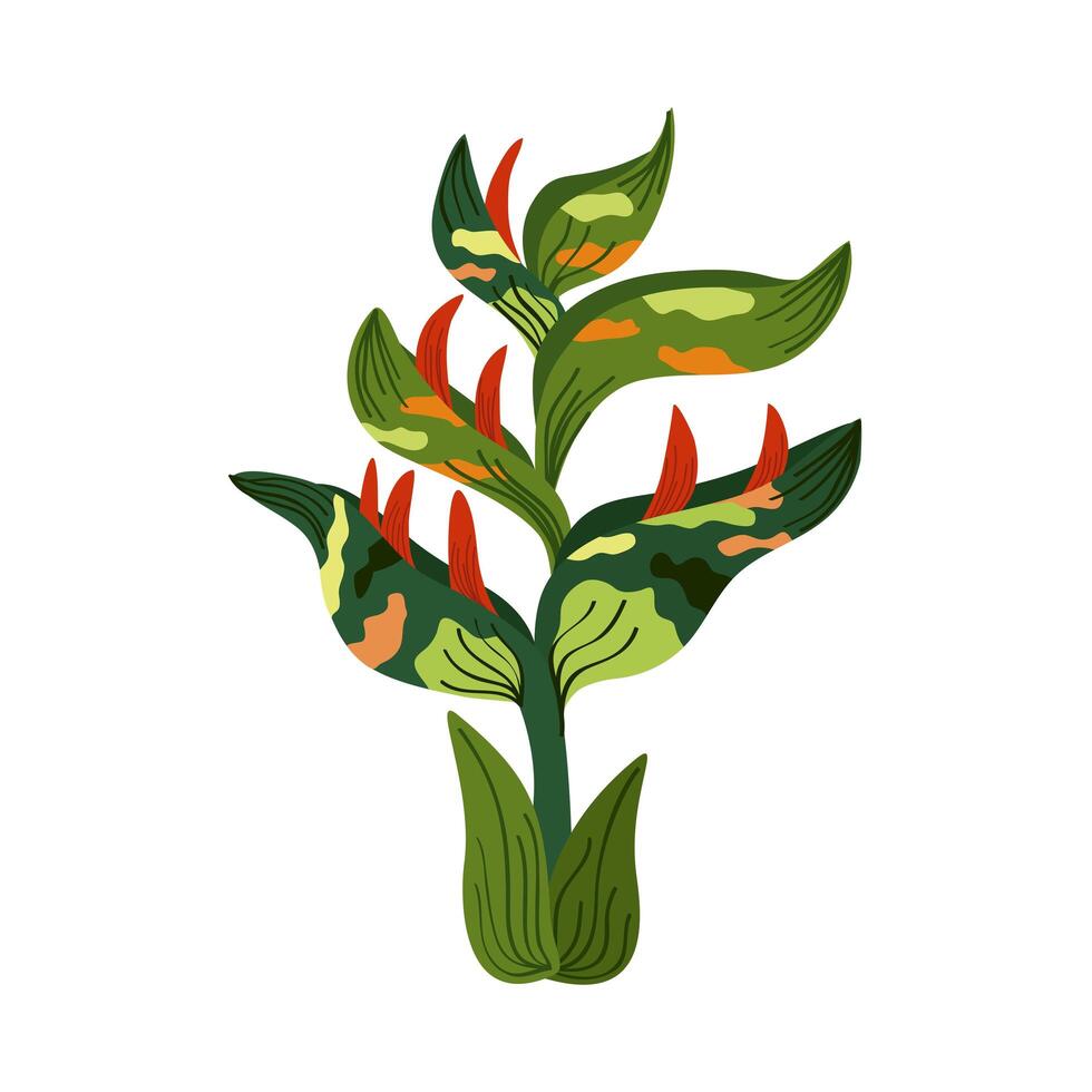 exotic heliconia flower vector