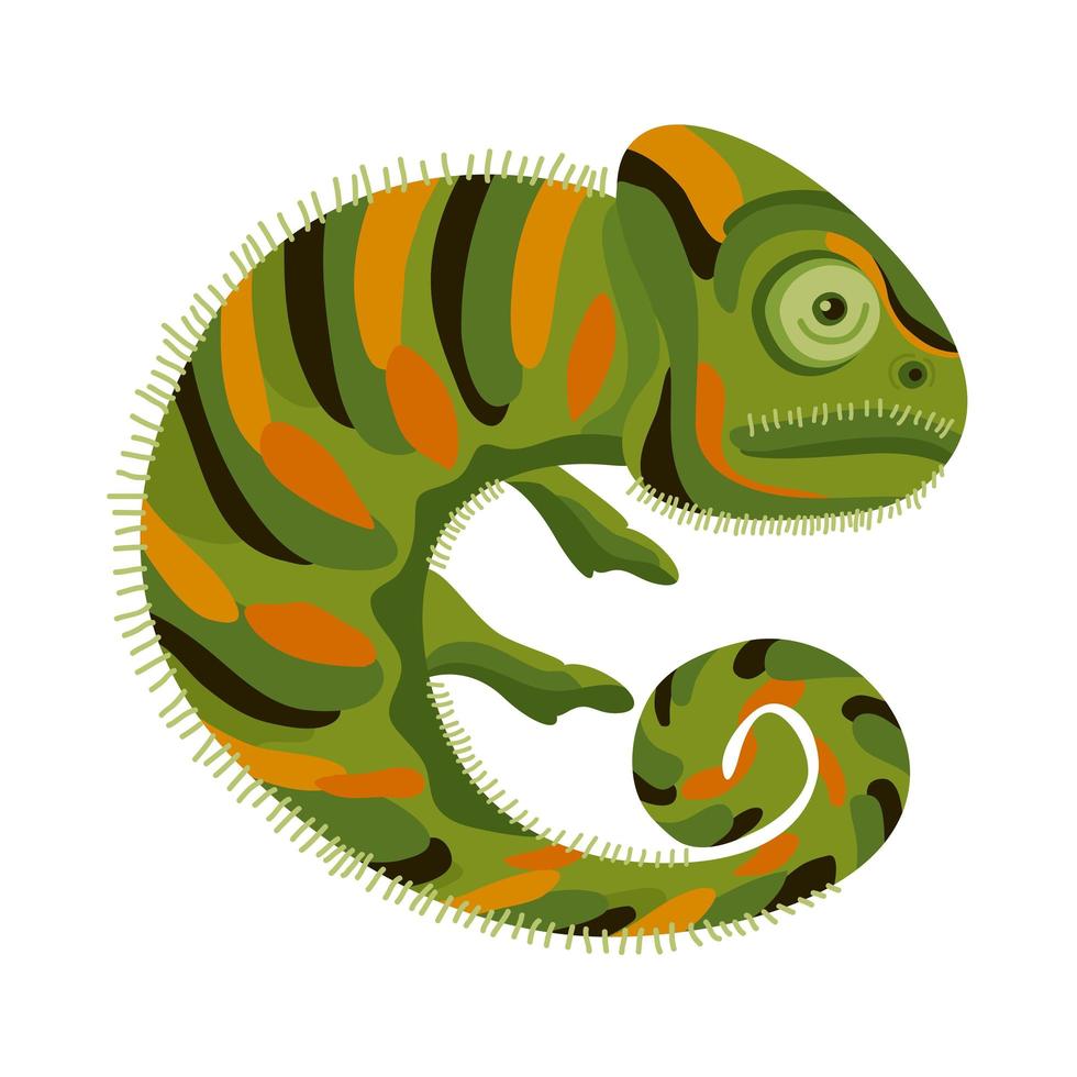 chameleon wild reptile vector