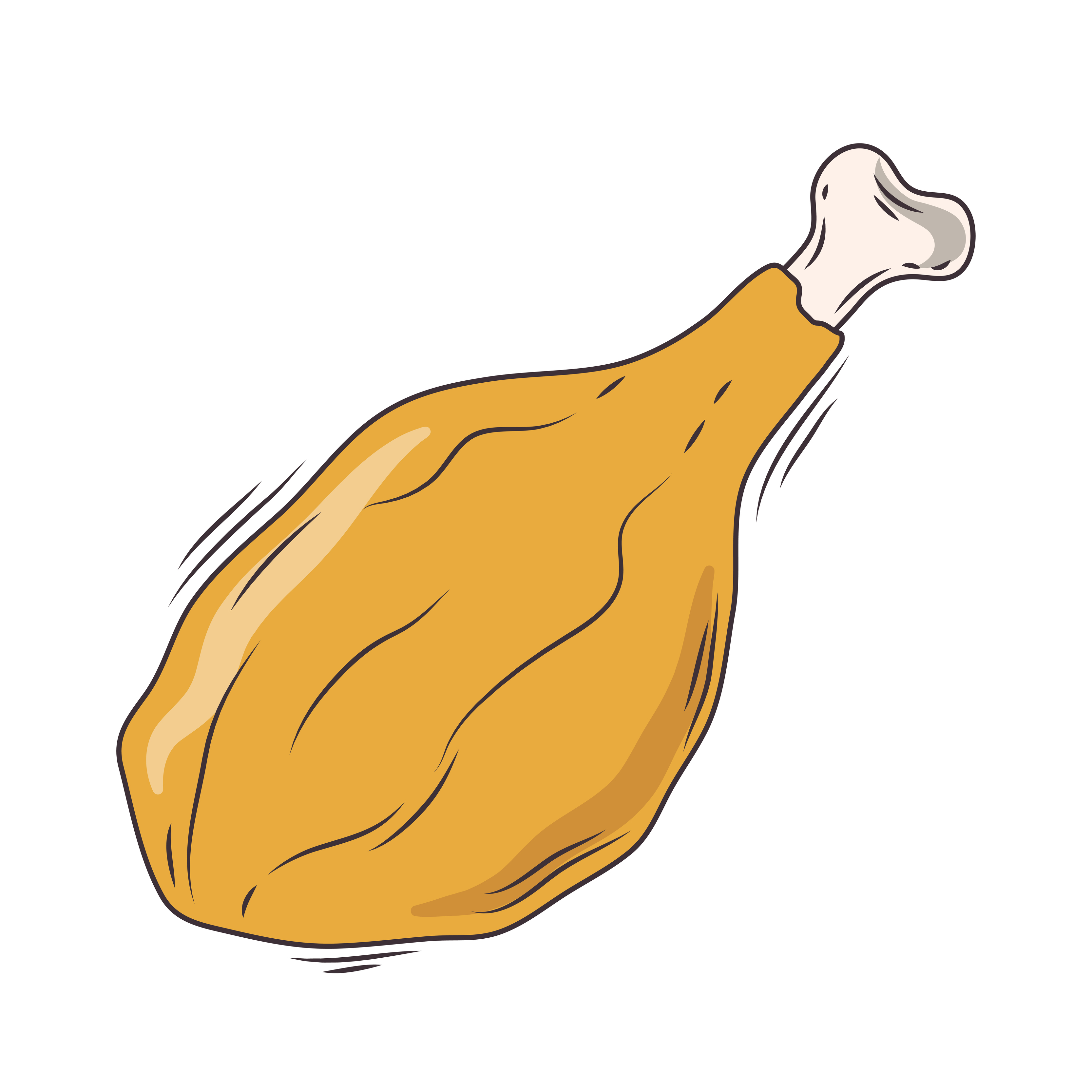 chicken thigh protein 3688355 Vector Art at Vecteezy