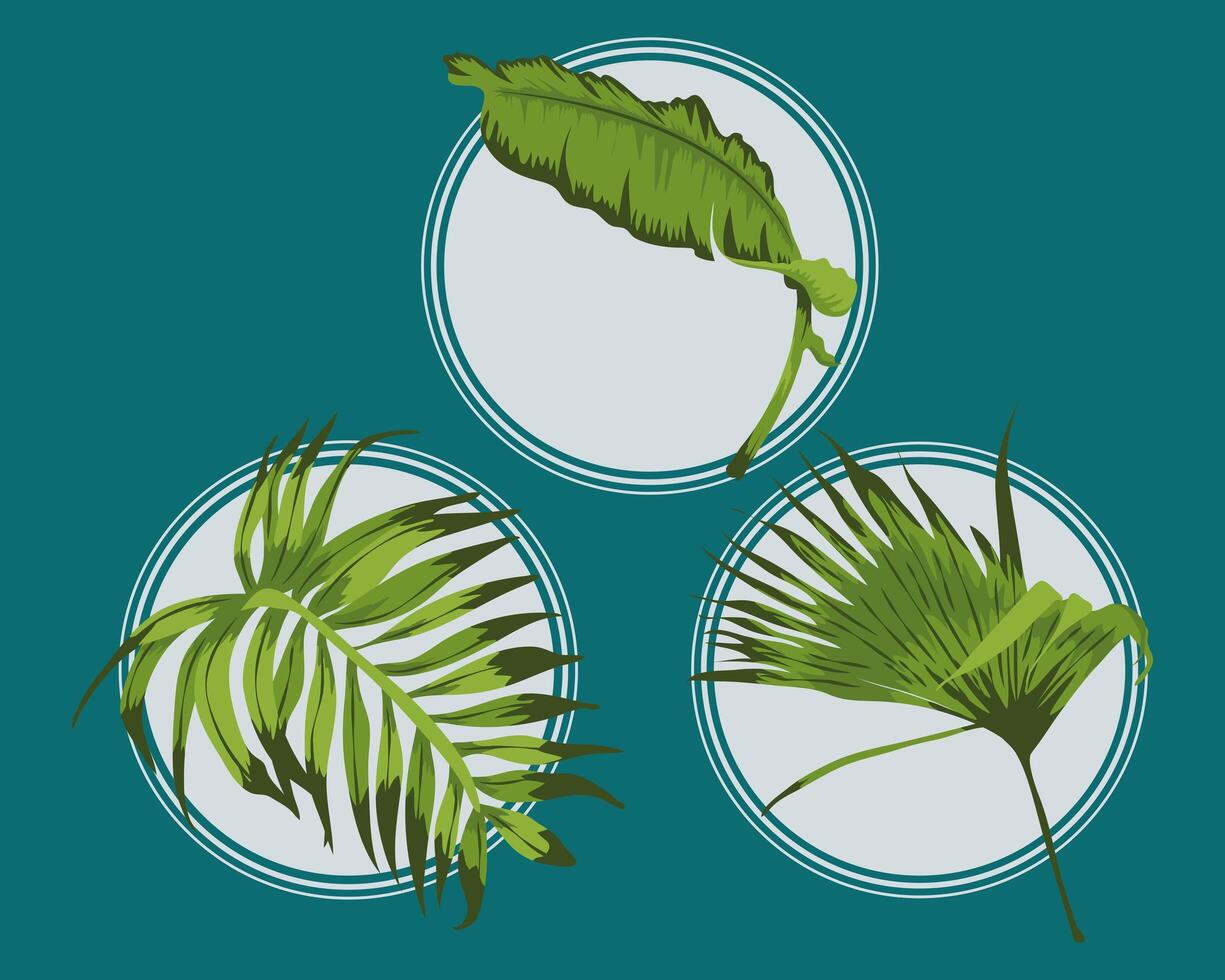 three exotic leafs vector