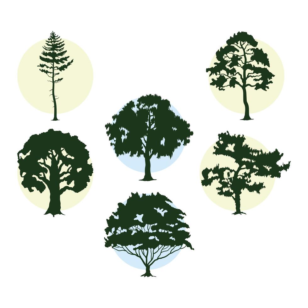 bunsle of six trees plants forest silhouettes vector