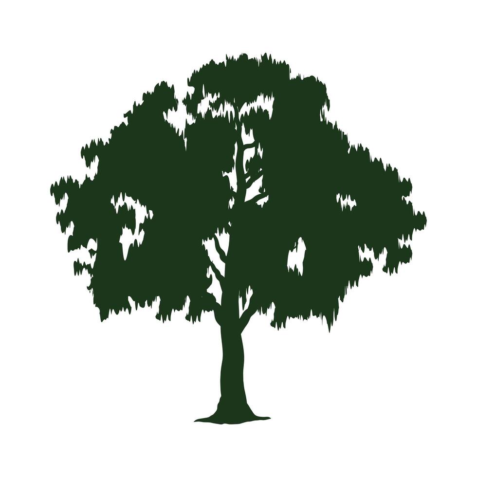 green tree leafy plant silhouette forest vector