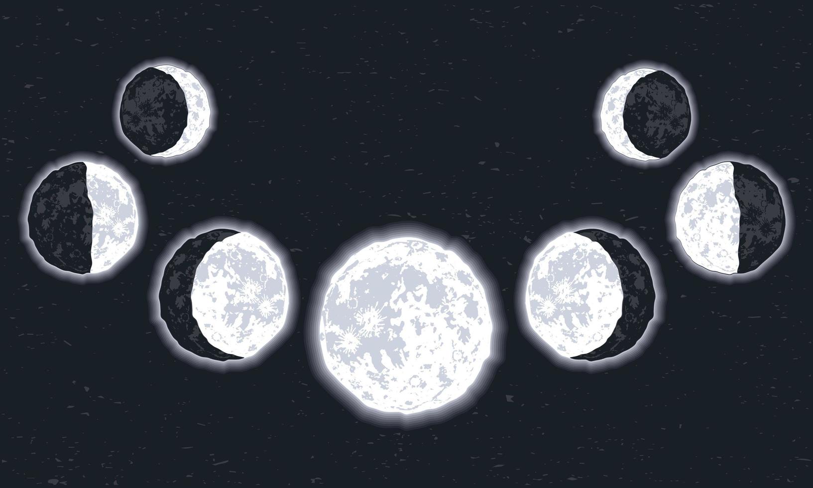 seven moon phases set vector