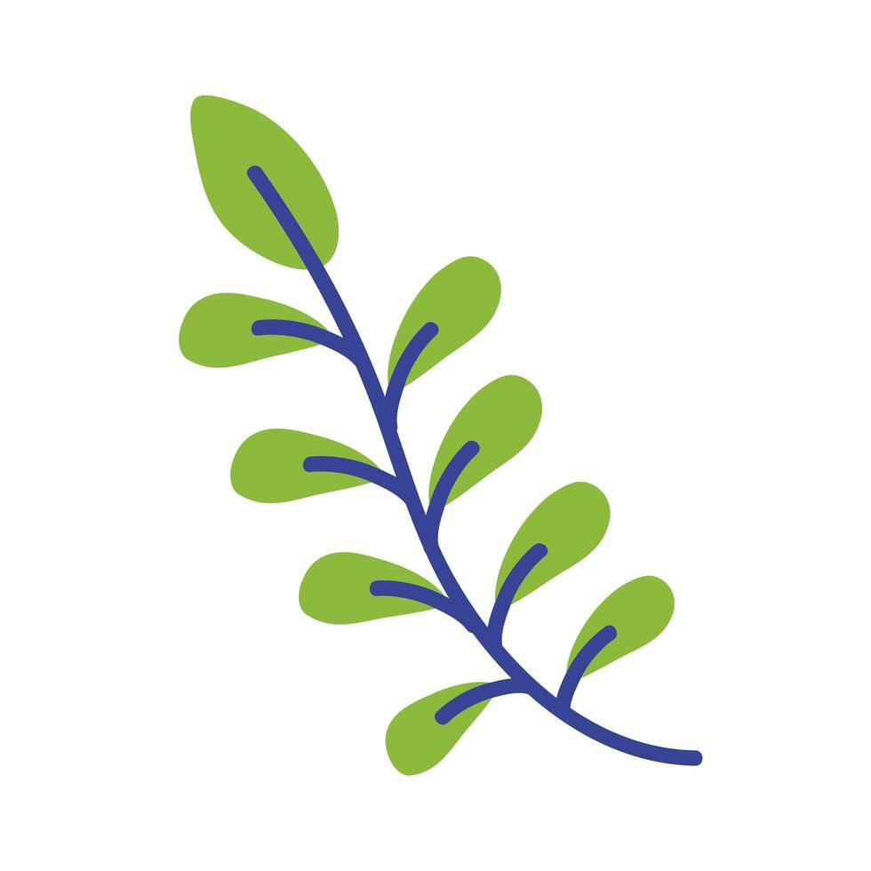 leafs branch spring vector