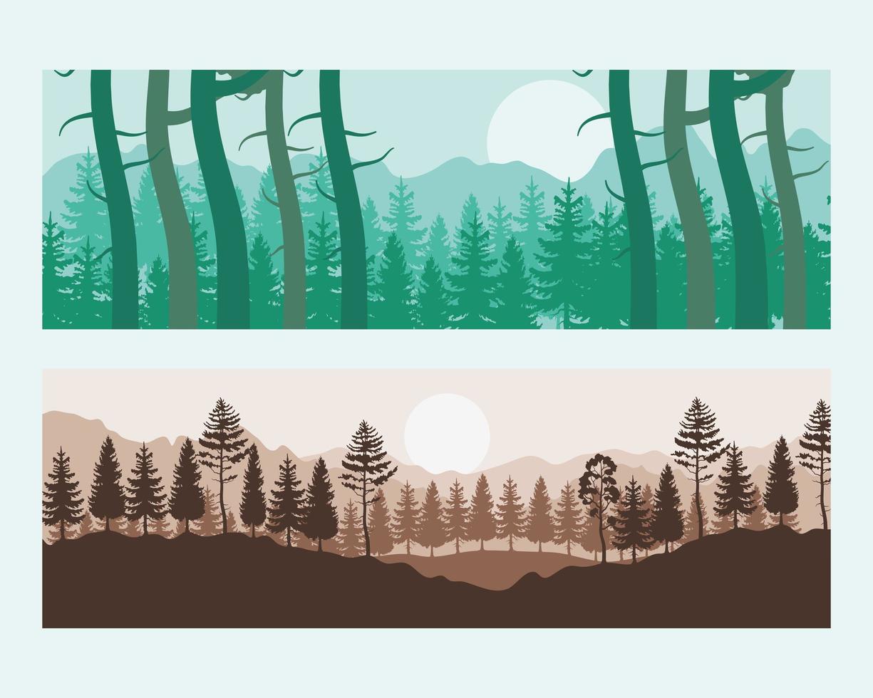 green and sunset forest landscapes scenes with pines vector