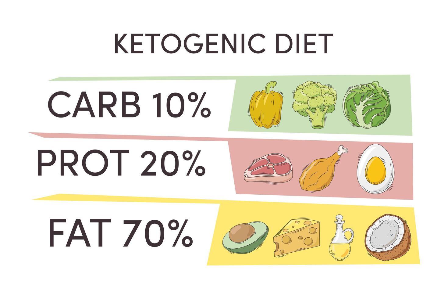 ketogenic diet infographic vector