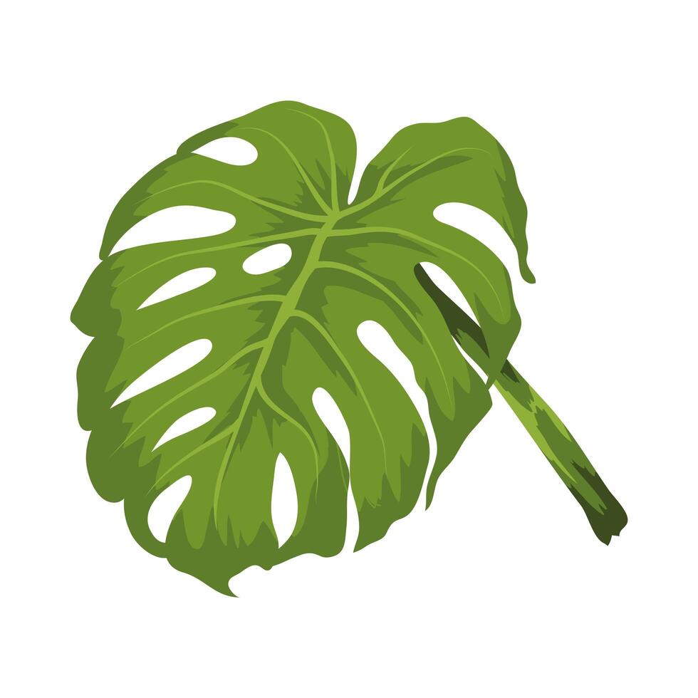 exotic leave foliage vector