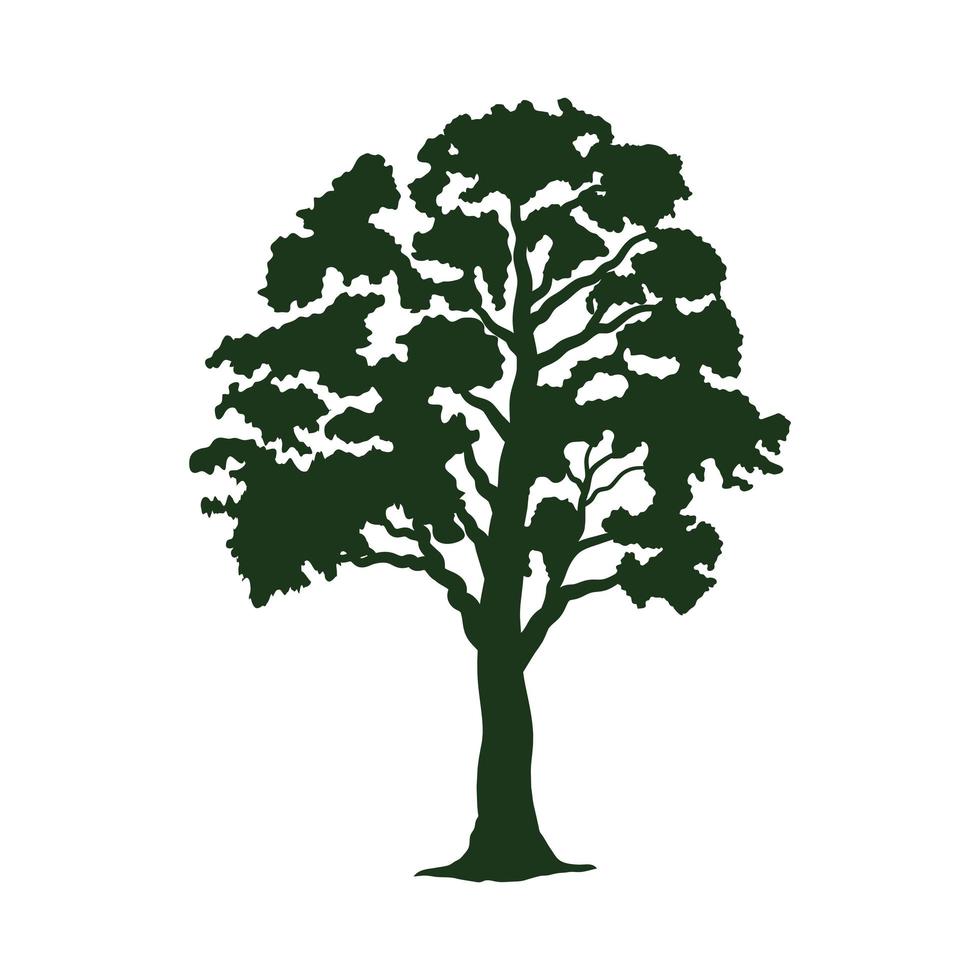 icono de bosque de silueta de planta de árbol verde vector