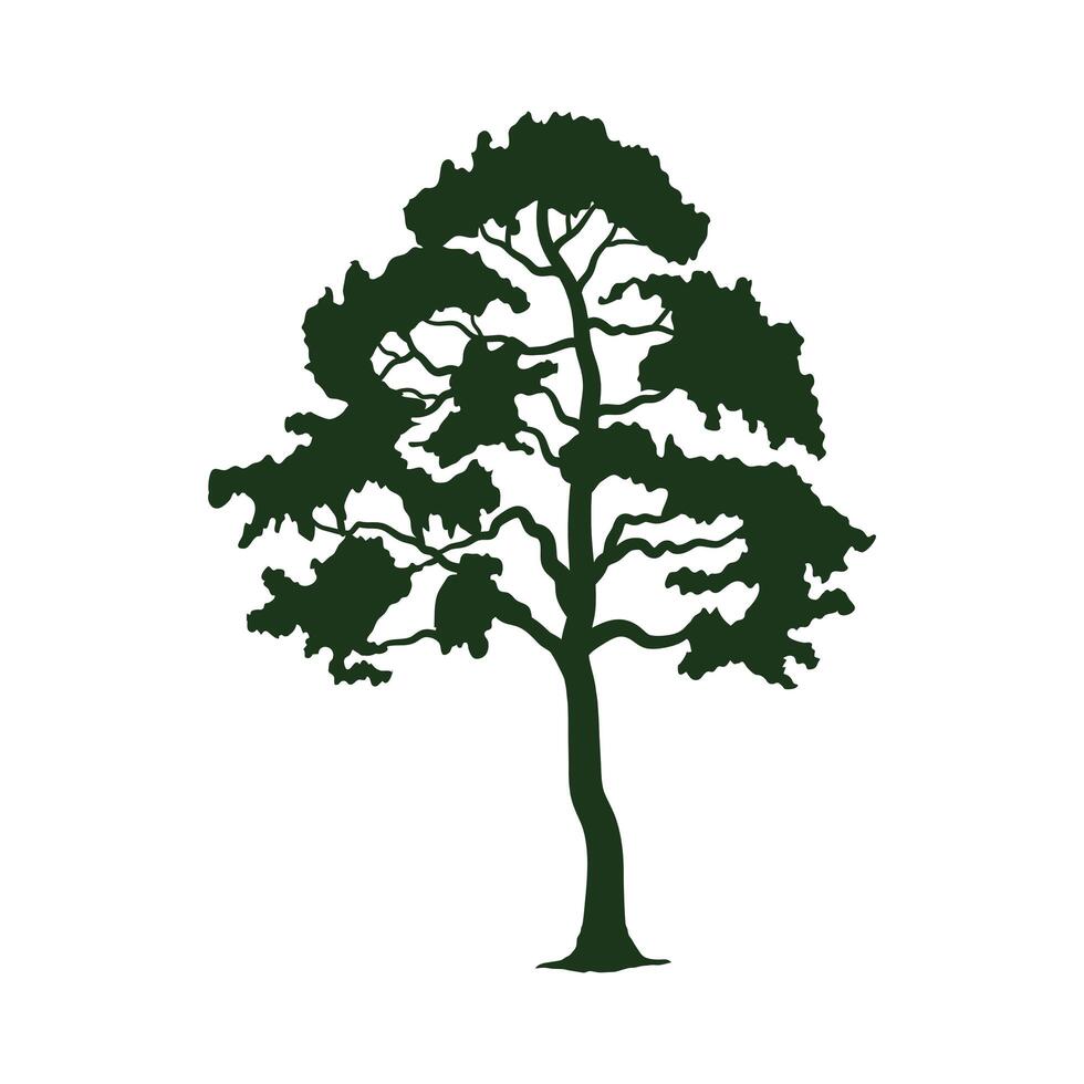 green tree plant silhouette forest vector