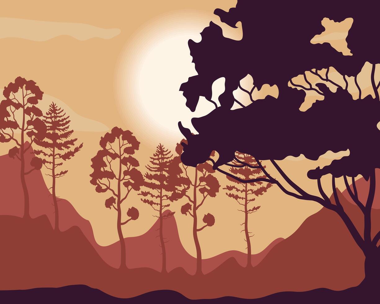 árboles, plantas, en, bosque, ocaso, paisaje, escena vector