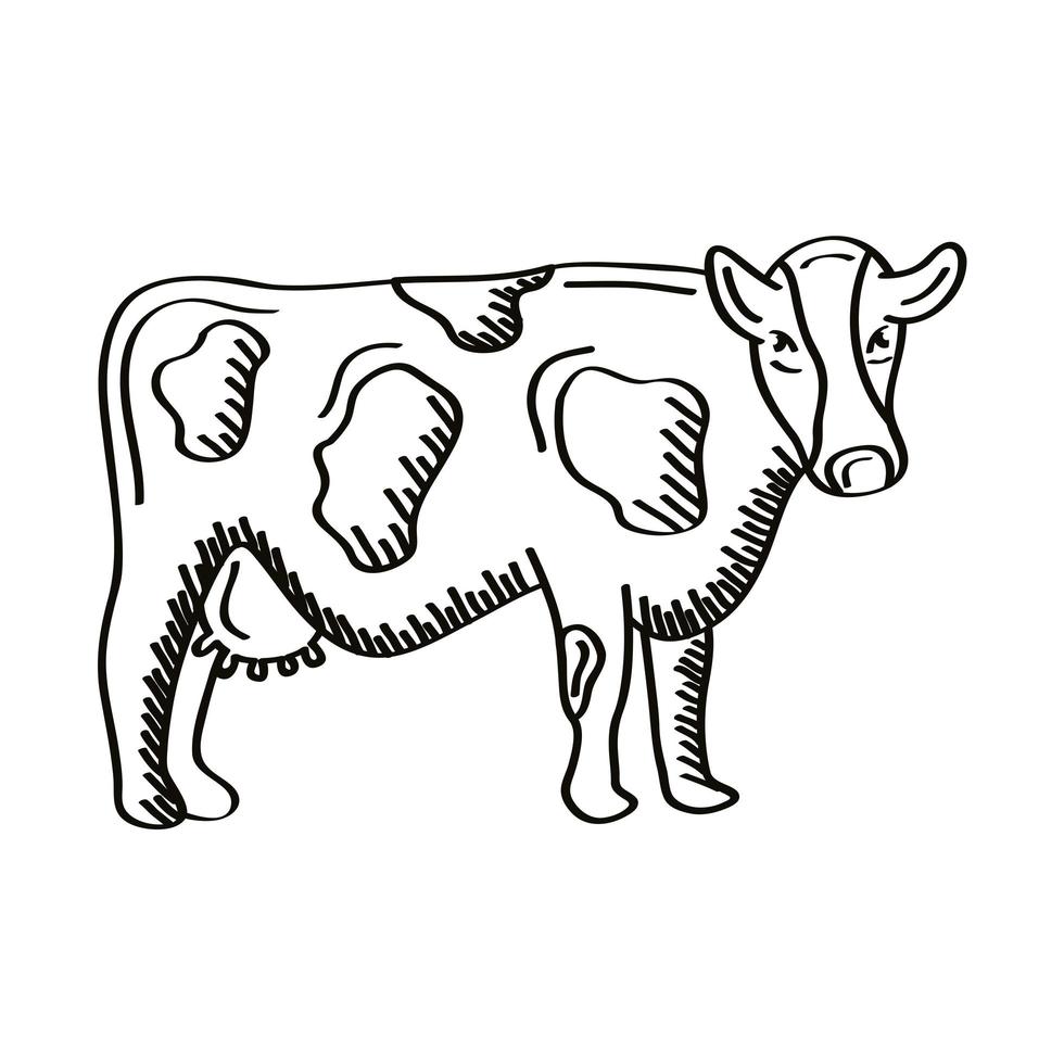 cow animal farm vector