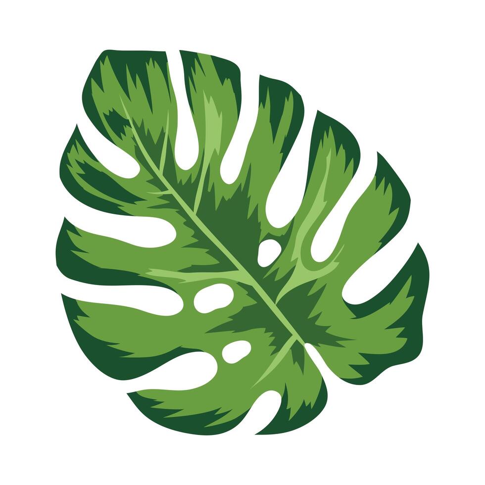 leaf palm tree vector