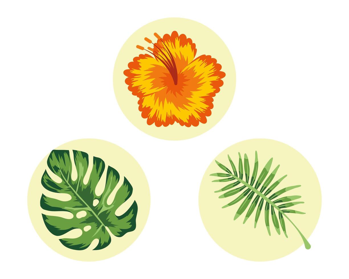 leafs and flower 3689708 Vector Art at Vecteezy
