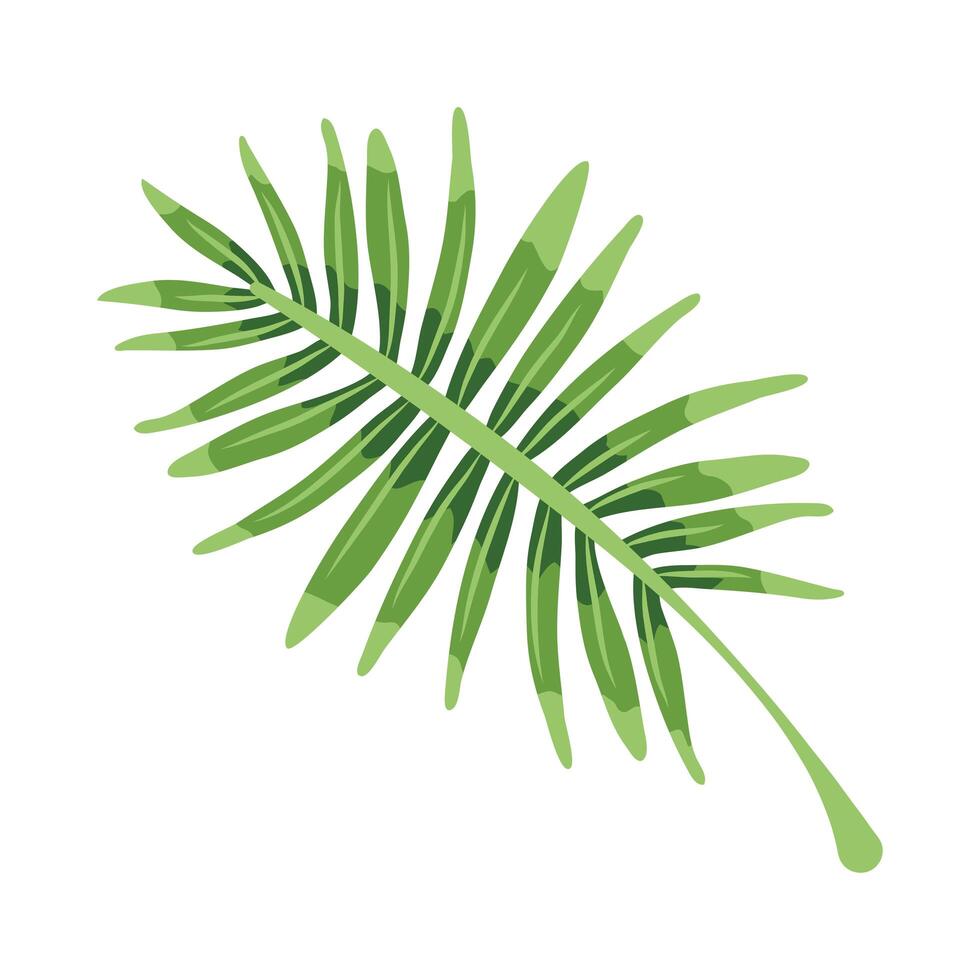 exotic leaf palm vector