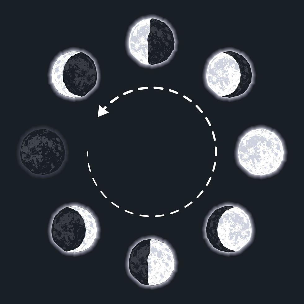 conjunto de nueve fases lunares vector