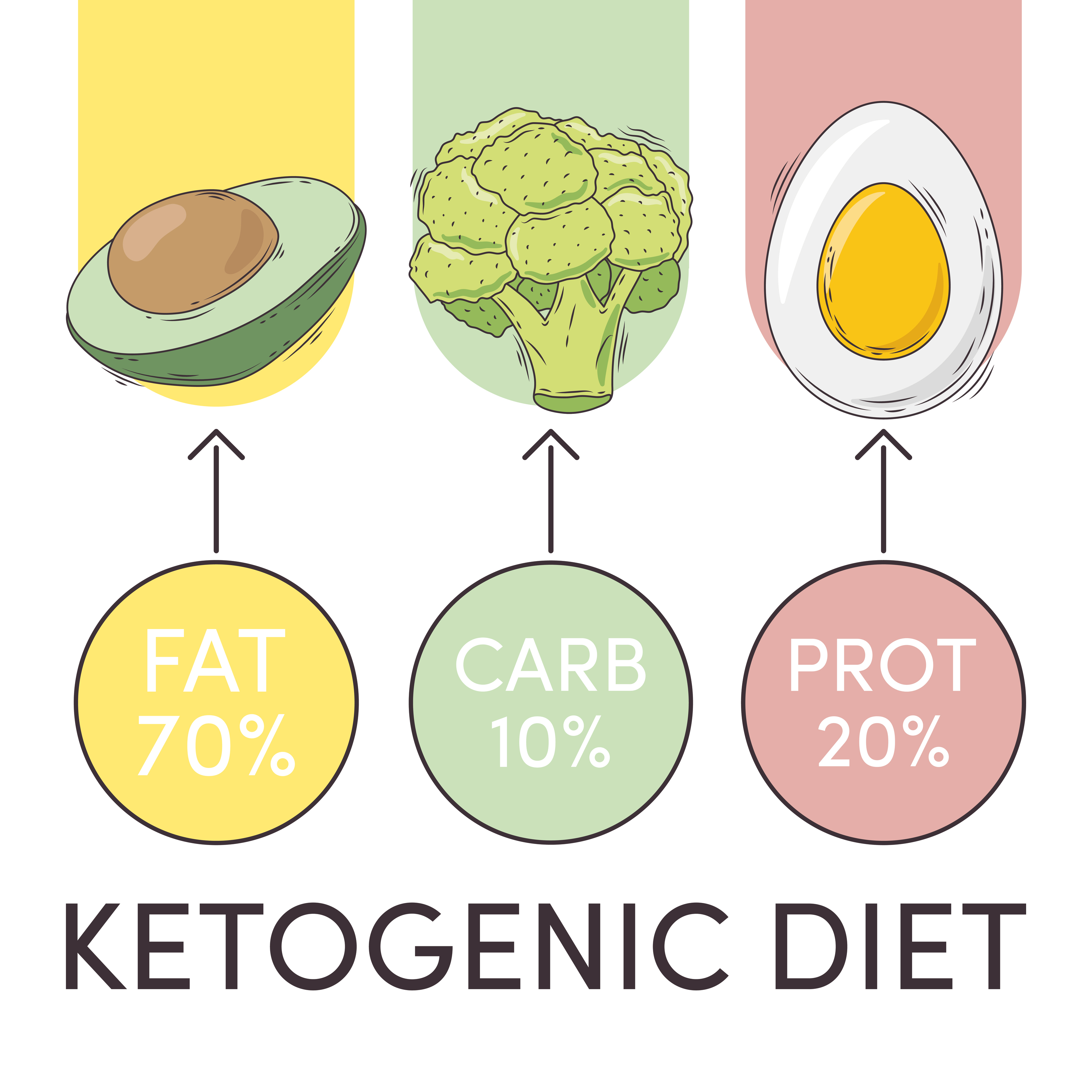ketogenic diet chart 3690085 Vector Art at Vecteezy