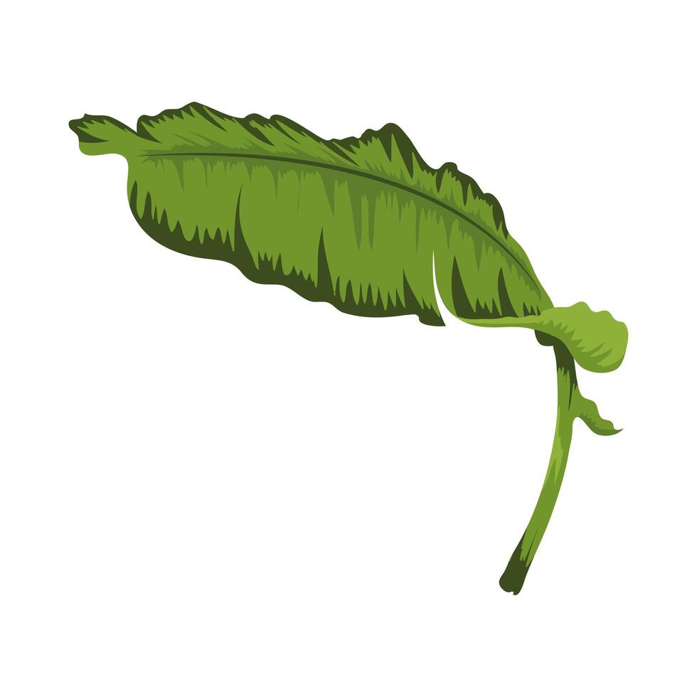 exotic leaf plant vector