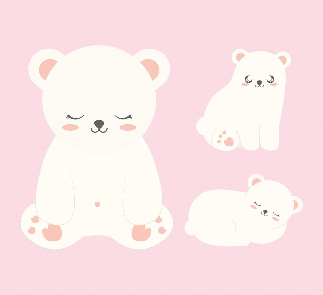 three cute bears vector