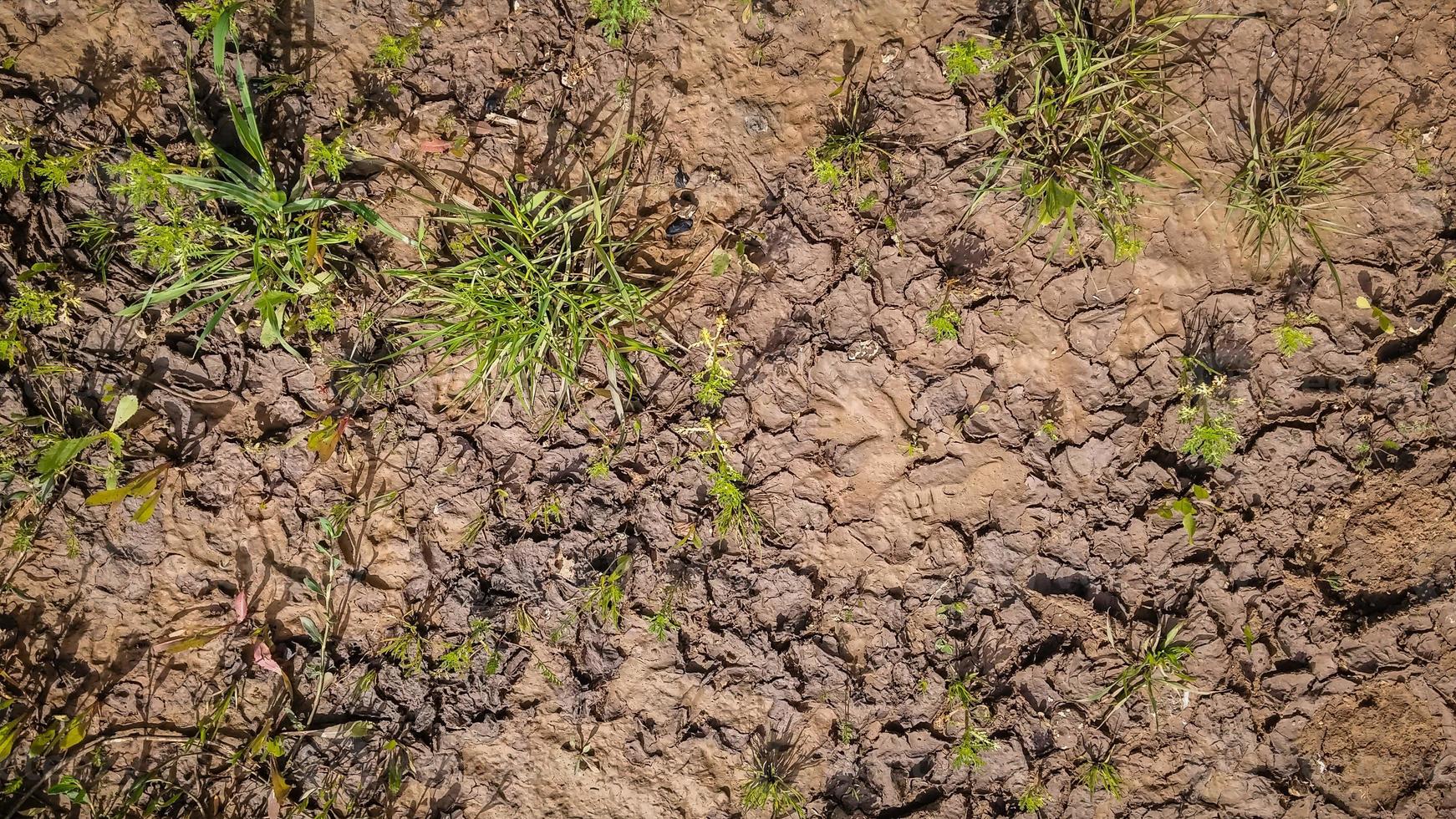 Texture of wet brown dirt mud photo