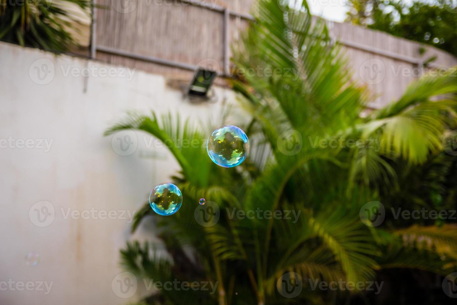 Soap bubbles fly in the garden photo