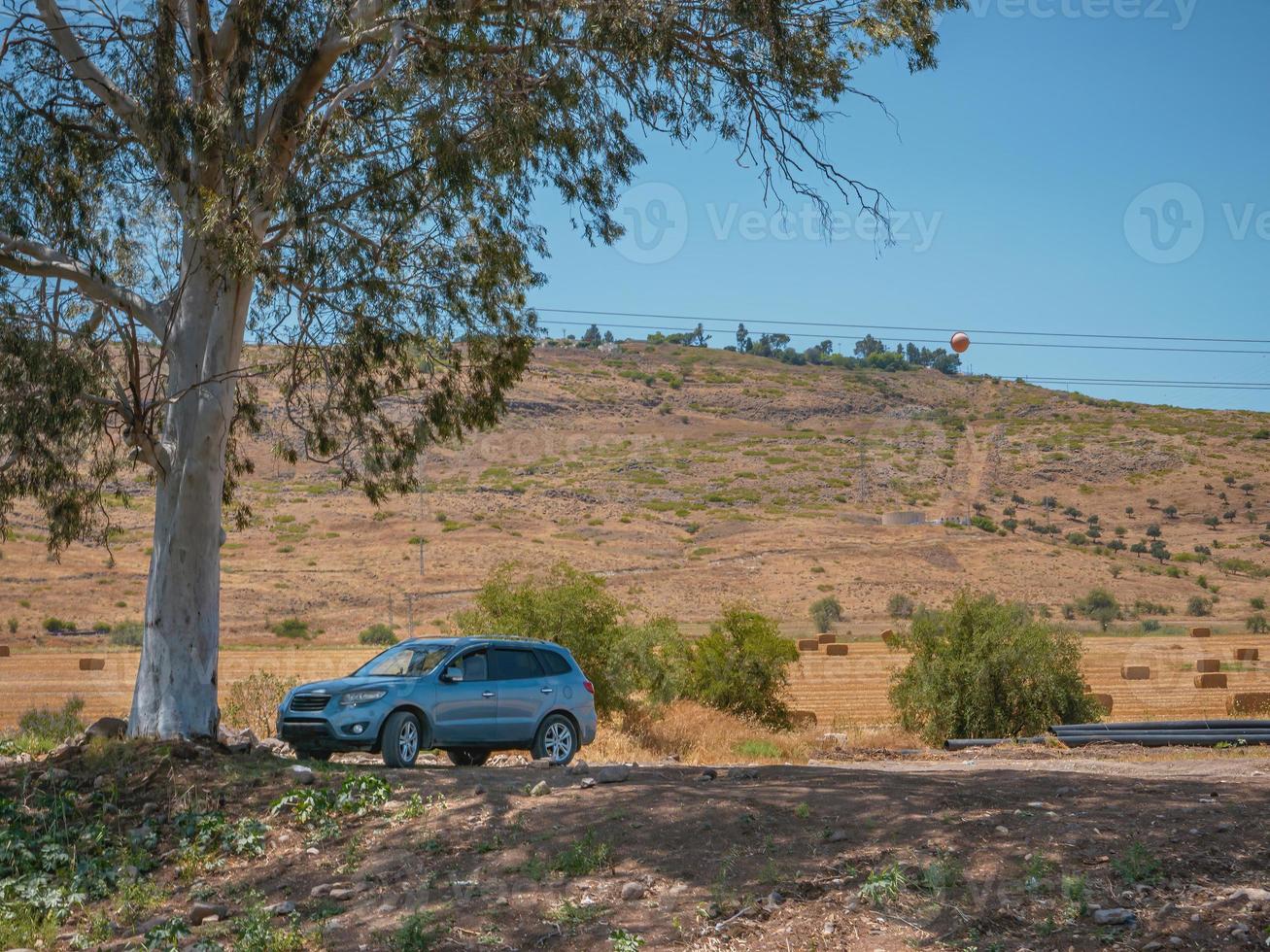 Gray SUV off-road vehicle parked under a Eucalyptus tree shade on a dirt road photo